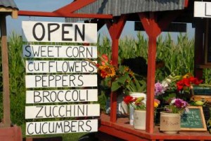 The Farm Stand